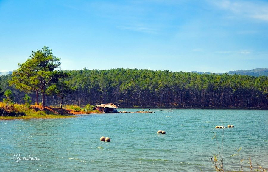 HÀ NỘI - ĐÀ LẠT - NÔNG TRẠI CÚN LANG BIANG - CHÙA LINH PHƯỚC