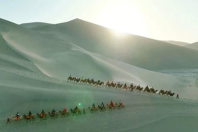 TOUR MÔNG CỔ TRỌN GÓI GIÁ RẺ 2026 TỪ HÀ NÔI TP HỒ CHÍ MINH 8 NGÀY 7 ĐÊM KHÁM PHÁ MIỀN DU MỤC VỚI THẢO NGUYÊN SA MẠC CƯỠI NGỰA BẮN CUNG NGỦ LỀU GER 